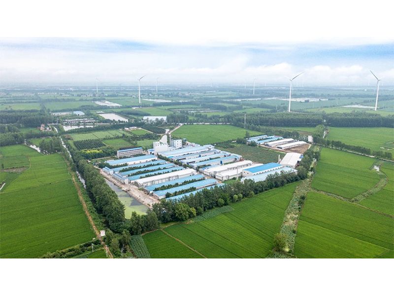 2023年中央一號文件出爐，畜禽產(chǎn)業(yè)應抓住哪些新機遇？