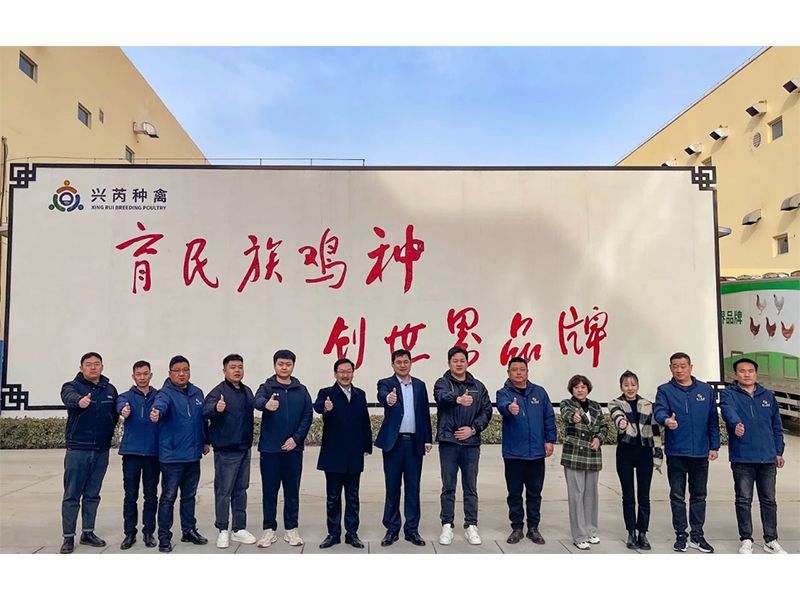 參觀學(xué)習(xí)促進步 交流合作贏發(fā)展︱卓一牧業(yè)赴興芮種禽、峪口禽業(yè)與瑞普生物參觀訪學(xué)
