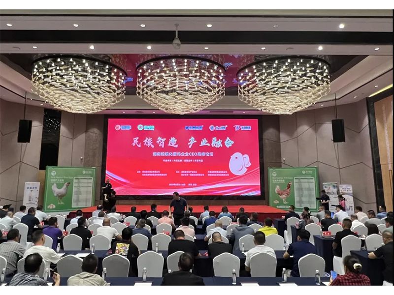 熱烈祝賀湖南規(guī)模化蛋雞企業(yè)CEO高峰論壇取得圓滿(mǎn)成功！